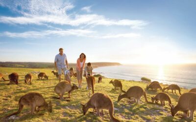 Reviving Chinese Tourism: ‘Come and Say G’day’ Campaign Reignites Australia’s Visitor Economy